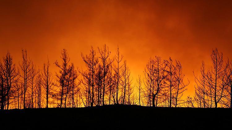 Türkiyedeki orman yangınlarına 6 ülkeden hava desteği geldi
