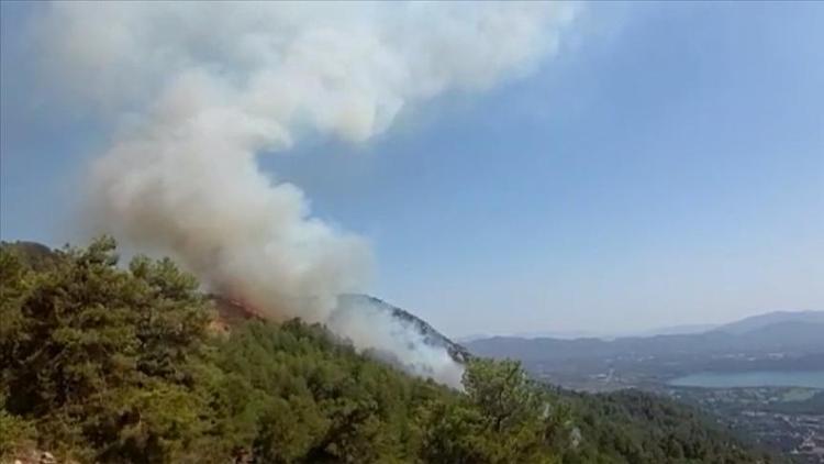 TÜKDESden Orman yangınlarını fırsata çevirenleri şikayet edin çağrısı