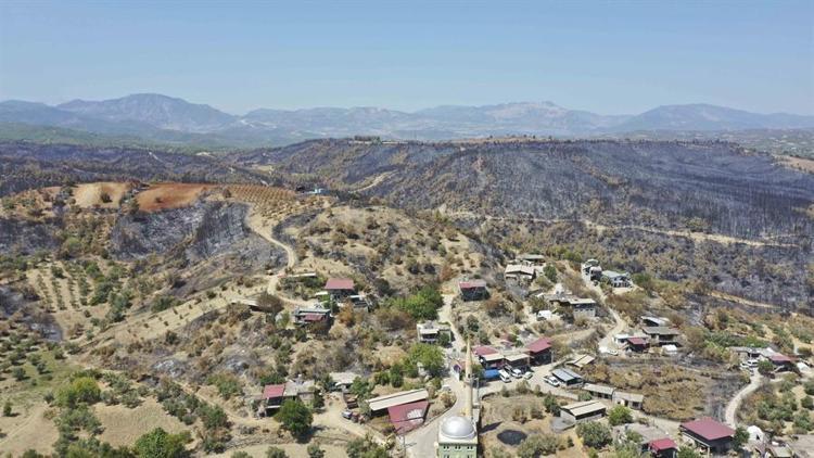 Orman yangınlarına ilişkin STKlerden ortak açıklama