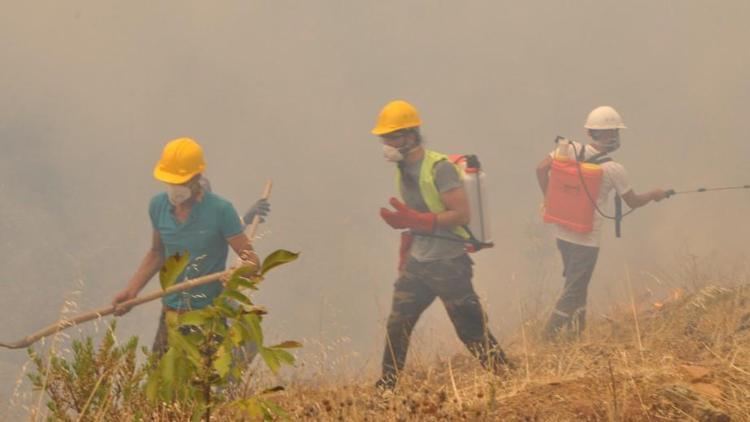 Son dakika haberi: Muğla’da zeytinlik ve ormanlık alandaki yangınlara 6 tutuklama