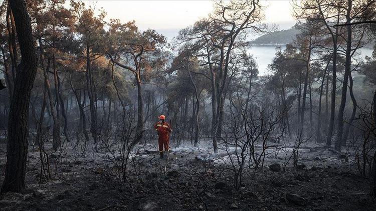 Adalarda yeni kararlar Orman yangınlarını önlemek için harekete geçildi