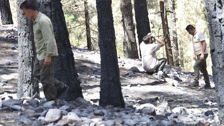 Kayseride 80 hektar alanın yandığı Aladağlarda 24 saat nöbet