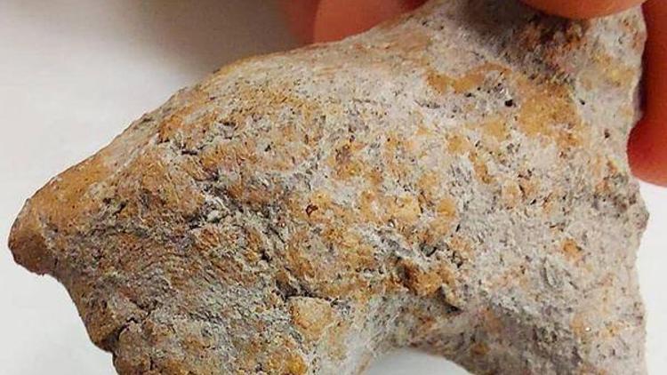 Bilecikteki kazıda bulunan hayvan figüründe 9 bin yıllık parmak izi