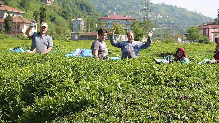 Karadeniz’de çay ve fındık göçüyle vakalar yüzde 400 arttı