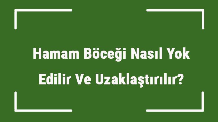 Hamam Böceği Nasıl Yok Edilir Ve Uzaklaştırılır Hamam Böceğinden Kurtulma Önerileri