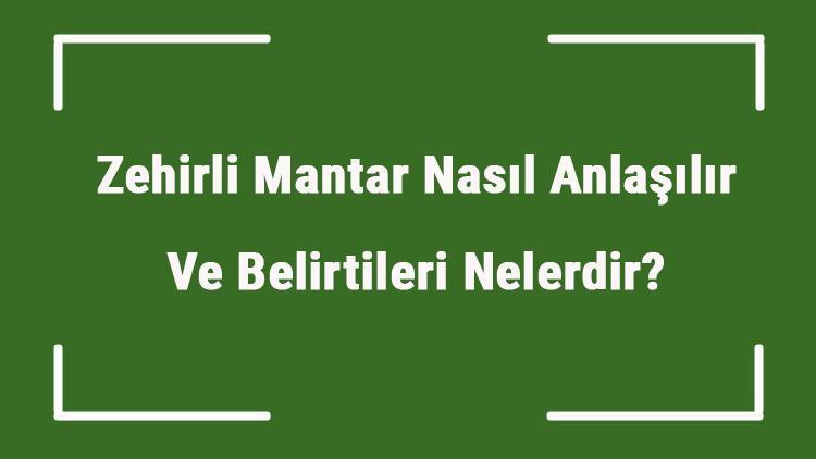 Zehirli Mantar Nasıl Anlaşılır Ve Belirtileri Nelerdir Zehirli Mantar Yersek Ne Olur