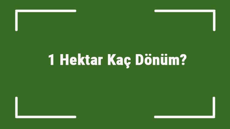 1 Hektar Kaç Dönüm Kaç Dönümden 1 Hektar Oluşur