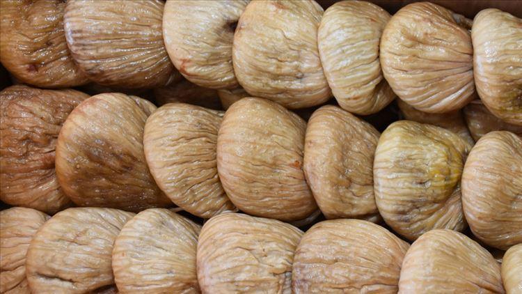 Aydında sezonun ilk kuru inciri kilosu 250 liradan satıldı