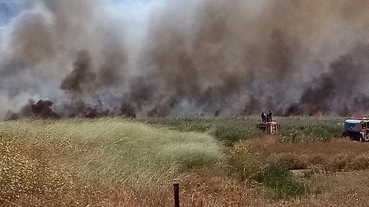 Son dakika... Antalyanın Kaş ilçesinde sazlık alanda yangın