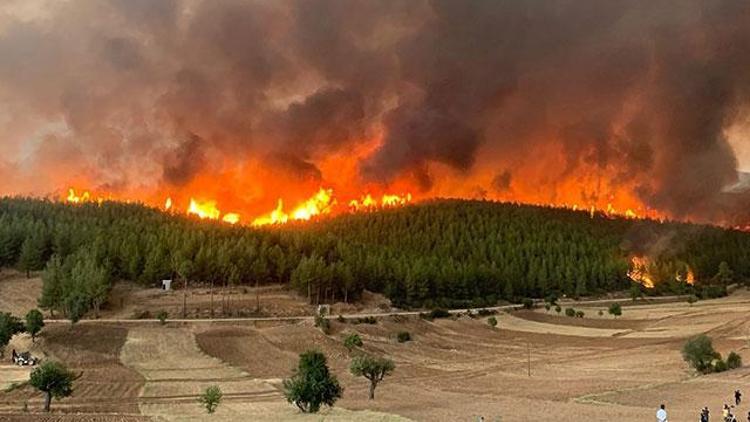 Muğla yangınlarında 62 mahalle ve 38 bin 715 kişi tahliye edildi