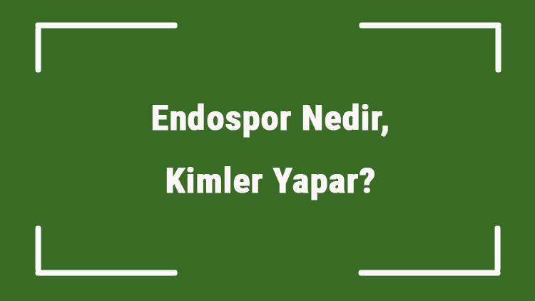 Endospor Nedir, Kimler Yapar Endospor Oluşturan Bakteriler Ve Canlılar..
