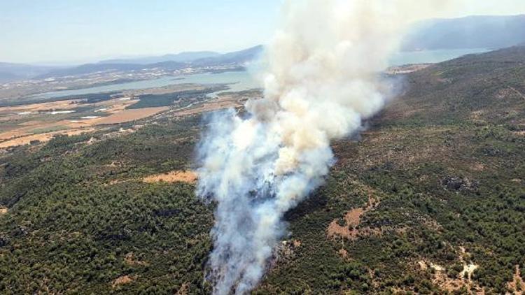 Son dakika: İzmirin Menderes ilçesinde orman yangını