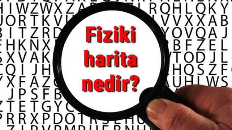 Fiziki harita nedir, neyi gösterir Fiziki harita nasıl çizilir ne işe yarar