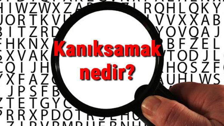 Kanıksamak nedir Kanıksamak kelimesi ne demek Kanımsamak TDK sözlük anlamı..