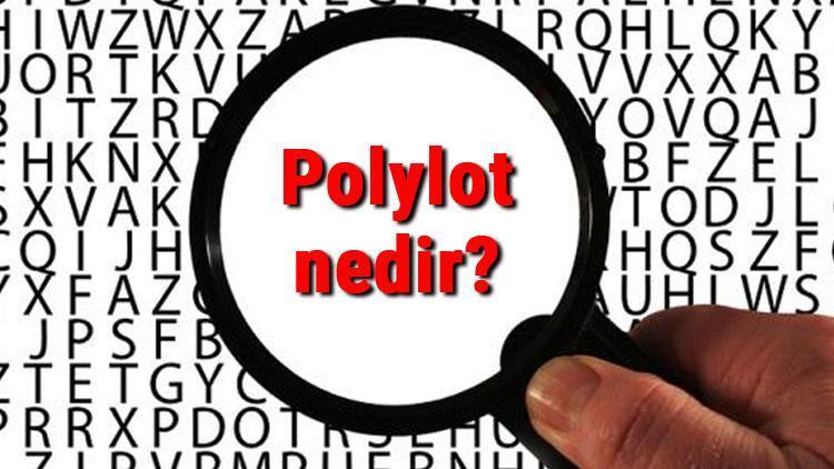 Polylot nedir ve nasıl olunur Birden çok dil sahibi nasıl olunur