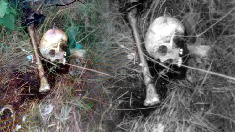 Tekirdağda piknik alanında bulunan kafatası ve kemiklere inceleme