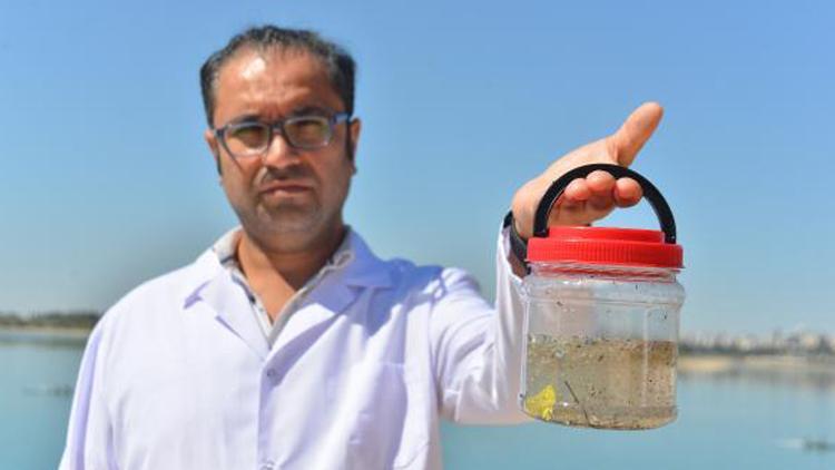 Karadenizde mikroplastik tehlikesi 14 kat arttı
