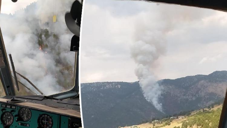 Adana Saimbeylide orman yangını