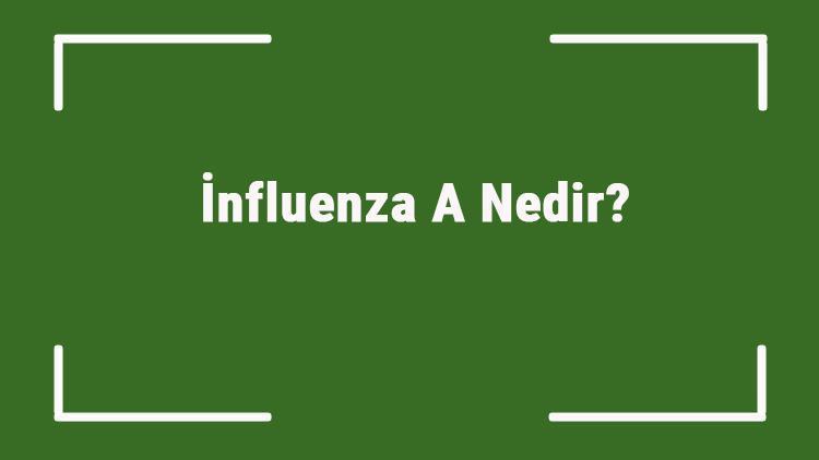 İnfluenza A Nedir Virüsün Bulaşma Süresi Ne Kadar İnfluenza A Virüsü Belirtileri Ve Tedavisi