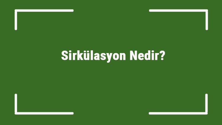 Sirkülasyon Nedir Tdkya Göre Sirkülasyon Kelimesi Ne Anlama Gelir Sirkülasyon Sözlük Anlamı