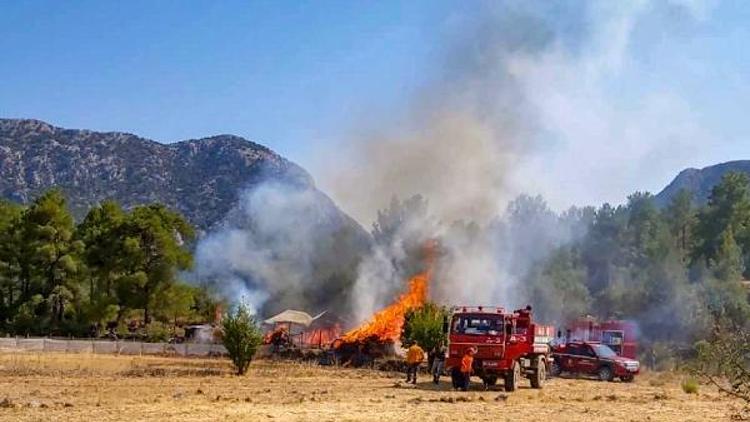 Yangın ormana ulaşmadan söndürüldü