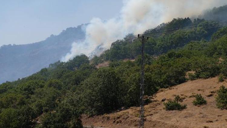 OGM: Tunceli ve Bingöldeki orman yangınlarına müdahalelerimiz devam ediyor