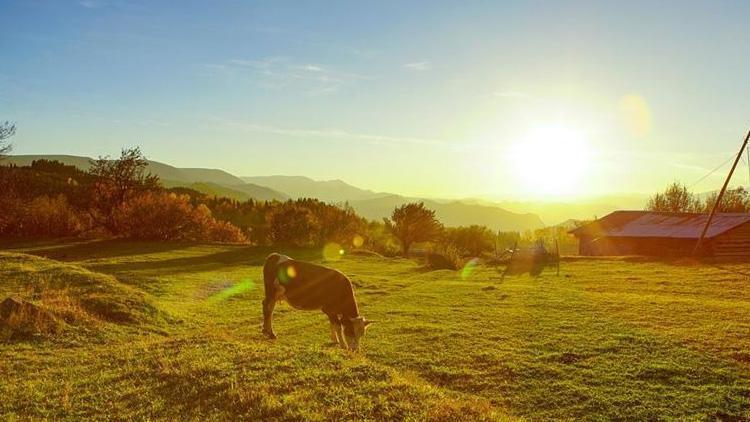 Doğu Anadoluda sıcaklıklar artıyor Meteoroloji duyurdu