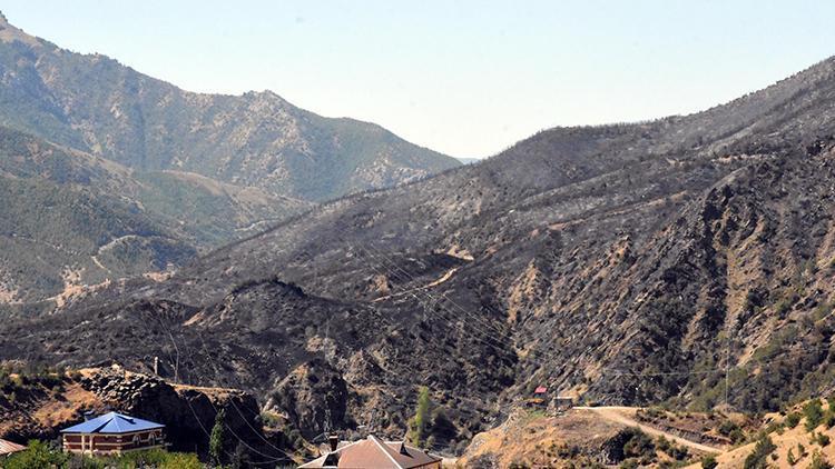 Bitlis’teki örtü yangını, 4üncü günde kontrol altına alındı