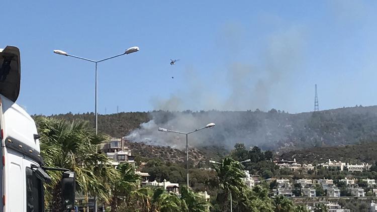 Son dakika... Bodrumda orman yangını Kontrol altına alındı