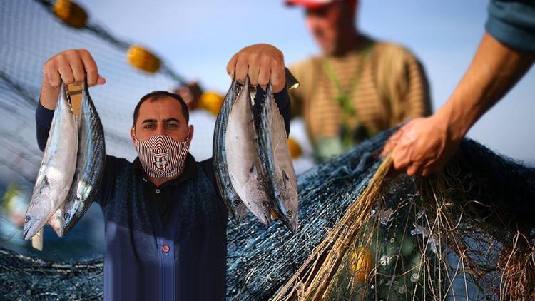 Balık sezonu müsilajın gölgesinde açıldı... Tehlike geçmedi balıksız kalabiliriz