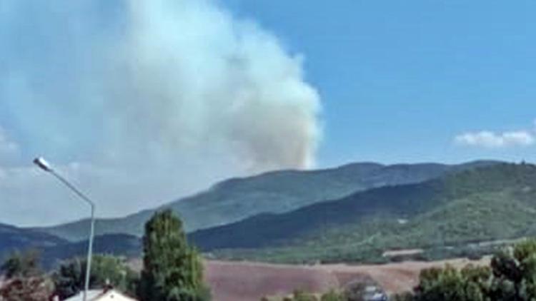 Son dakika: Tuncelide örtü yangını Valilikten açıklama geldi