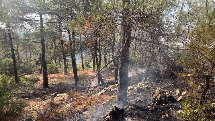 Muğlada 13 noktada orman yangını Tamamı kontrol altına alındı