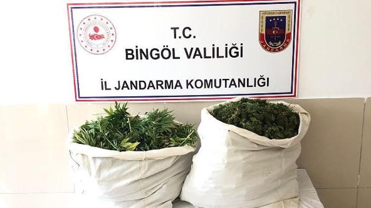 Bingölde ele geçirildi Tam 21 kilo...