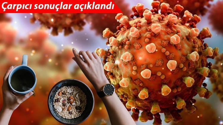 Çarpıcı araştırma sonucu: Bitkisel beslenme Kovid-19 riskini azaltıyor