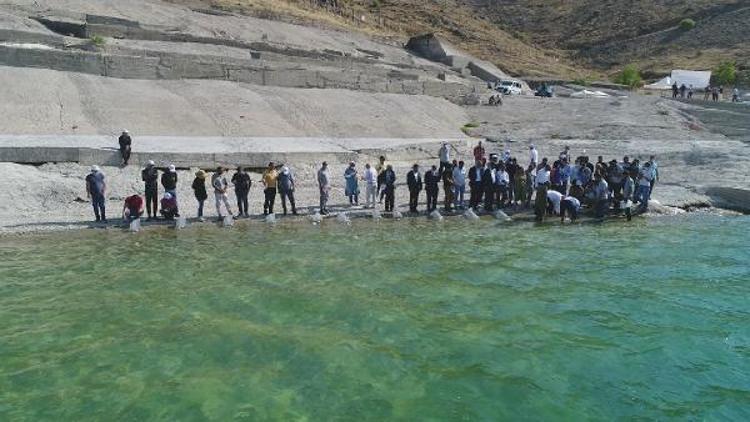 Keban baraj gölüne 200 bin yavru sazan bırakıldı