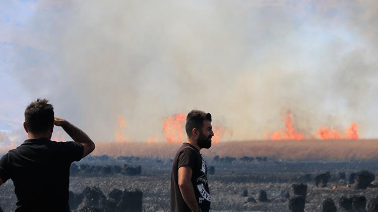 Yüksekovadaki kuş cennetinde korkutan yangın