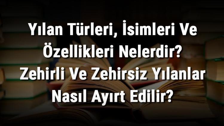 Yılan Türleri, İsimleri Ve Özellikleri Nelerdir Zehirli Ve Zehirsiz Yılanlar Nasıl Ayırt Edilir Türkiyede Bulunan Yılan Çeşitleri..