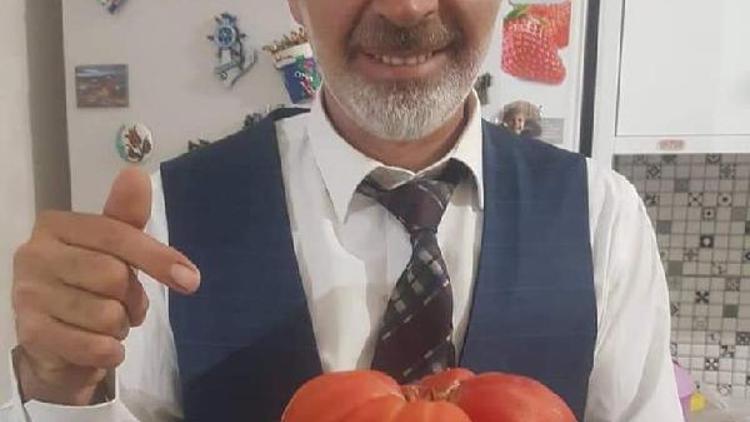 Lise müdürü, 1 kilo 100 gram ağırlığında domates yetiştirdi