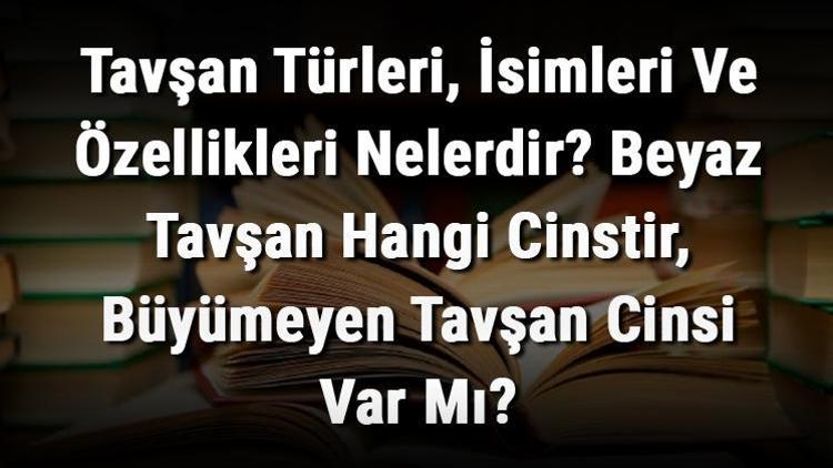 Tavşan Türleri, İsimleri Ve Özellikleri Nelerdir Beyaz Tavşan Hangi Cinstir, Büyümeyen Tavşan Cinsi Var Mı