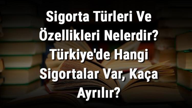 Sigorta Türleri Ve Özellikleri Nelerdir Türkiyede Hangi Sigortalar Var, Kaça Ayrılır