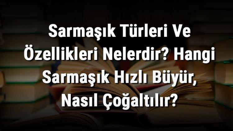 Sarmaşık Türleri Ve Özellikleri Nelerdir Hangi Sarmaşık Hızlı Büyür, Nasıl Çoğaltılır