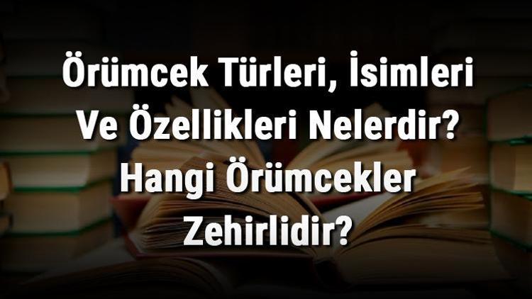 Örümcek Türleri, İsimleri Ve Özellikleri Nelerdir Hangi Örümcekler Zehirlidir