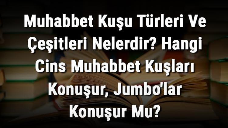 Muhabbet Kuşu Türleri Ve Çeşitleri Nelerdir Hangi Cins Muhabbet Kuşları Konuşur, Jumbolar Konuşur Mu