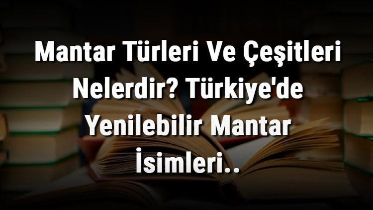 Mantar Türleri Ve Çeşitleri Nelerdir Türkiyede Yenilebilir Mantar İsimleri..