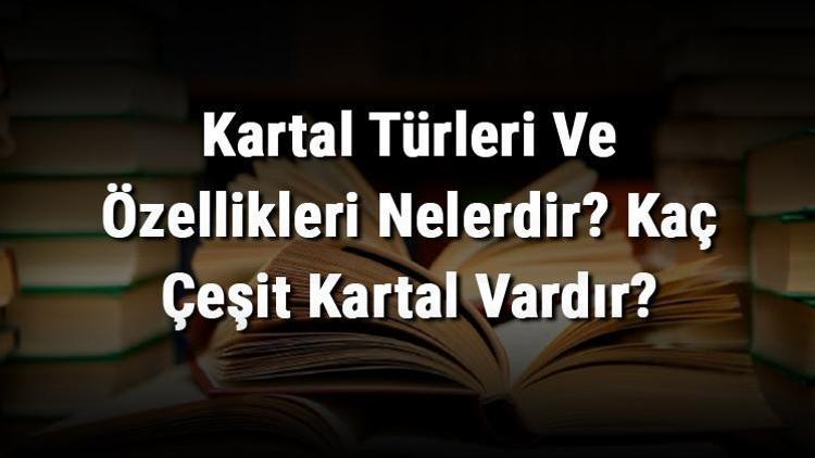 Kartal Türleri Ve Özellikleri Nelerdir Kaç Çeşit Kartal Vardır