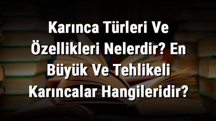 Karınca Türleri Ve Özellikleri Nelerdir En Büyük Ve Tehlikeli Karıncalar Hangileridir