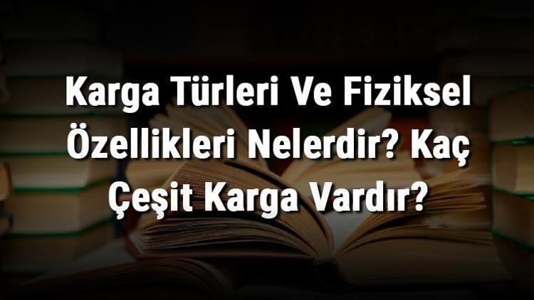 Karga Türleri Ve Fiziksel Özellikleri Nelerdir Kaç Çeşit Karga Vardır