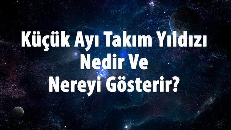 Küçük Ayı Takım Yıldızı Nedir Ve Nereyi Gösterir Küçük Ayı Takım Yıldızı Anlamı, Özellikleri Ve Hikayesi