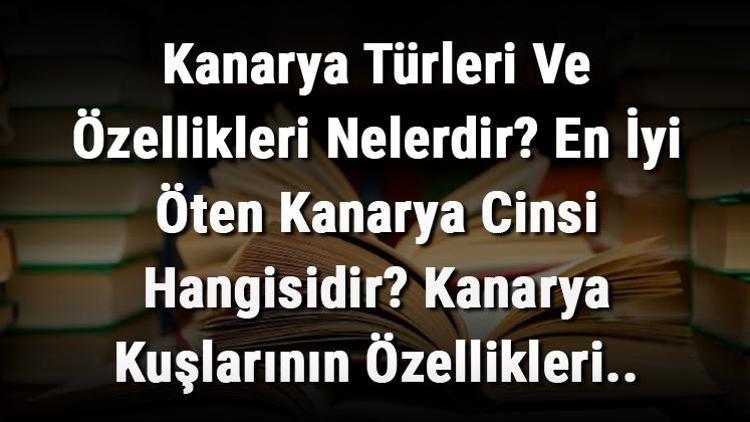 Kanarya Türleri Ve Özellikleri Nelerdir En İyi Öten Kanarya Cinsi Hangisidir Kanarya Kuşlarının Özellikleri..