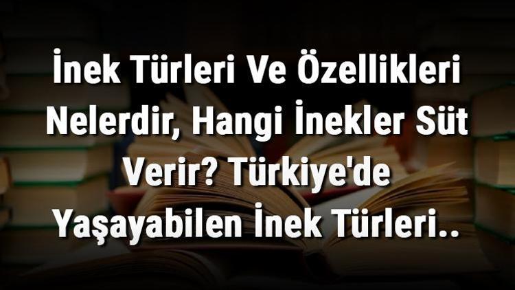 İnek Türleri Ve Özellikleri Nelerdir, Hangi İnekler Süt Verir Türkiyede Yaşayabilen İnek Türleri..